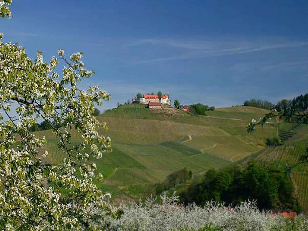 Gasthaus Hohberg Durbach Exterior foto